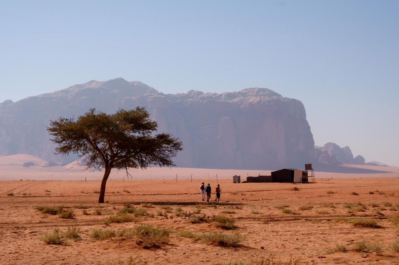 Desert Sky Camp&Tours Wadi Rum Exteriér fotografie